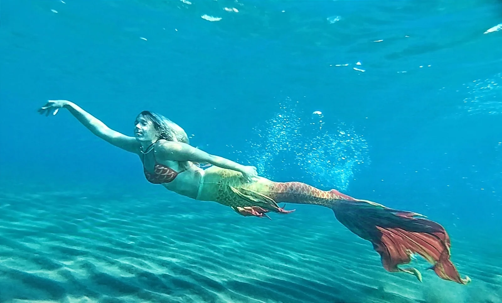 Mermaid swimming with an orange tail in the sea
